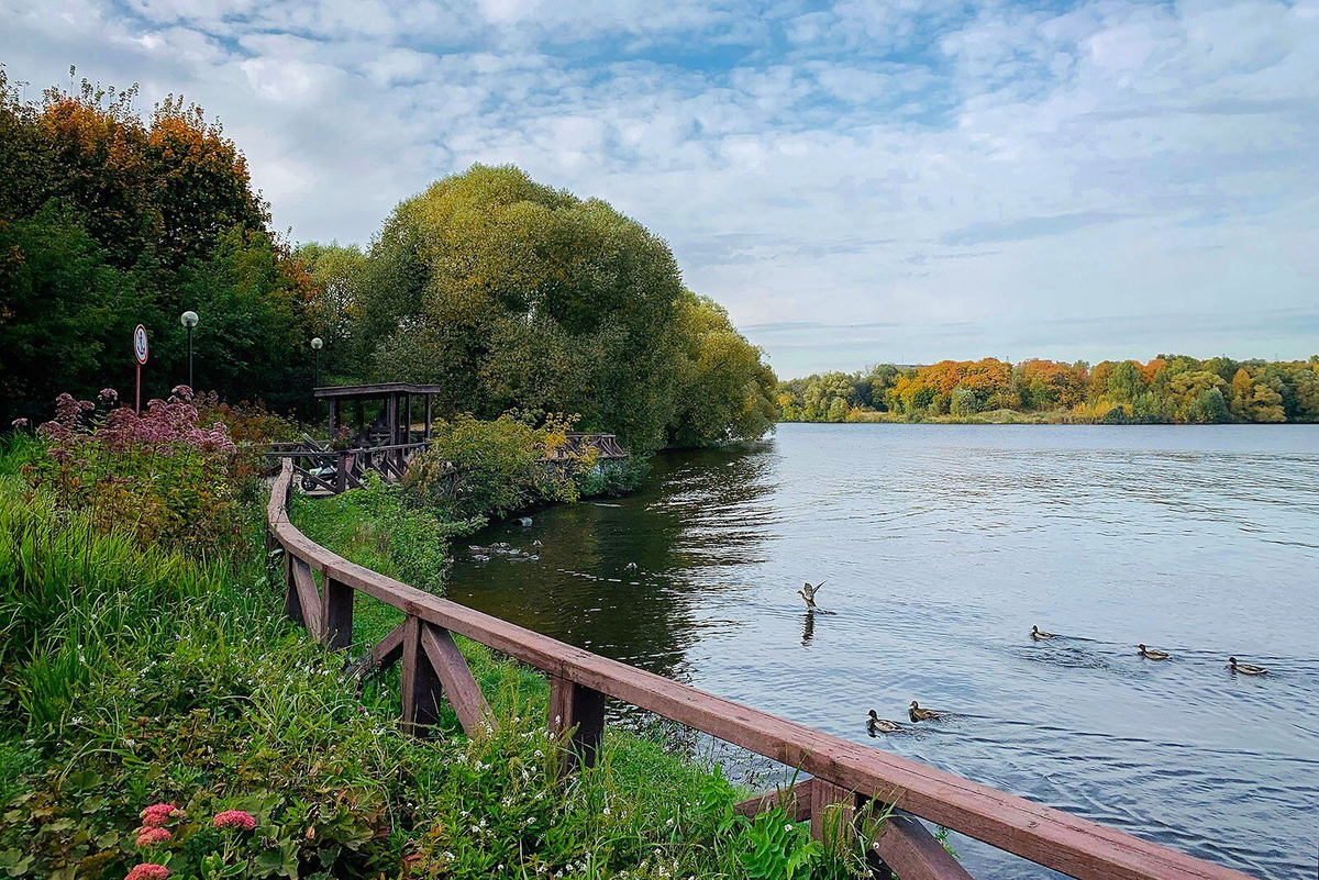 Алешкинский пруд в парке «Северное Тушино»