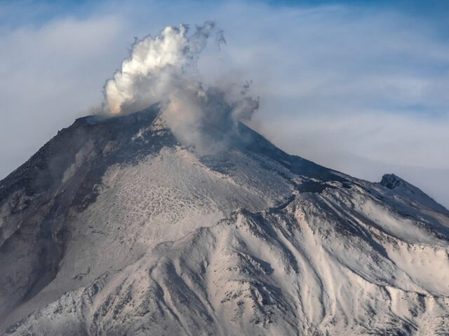    Фото: ТАСС/Елена Верещака