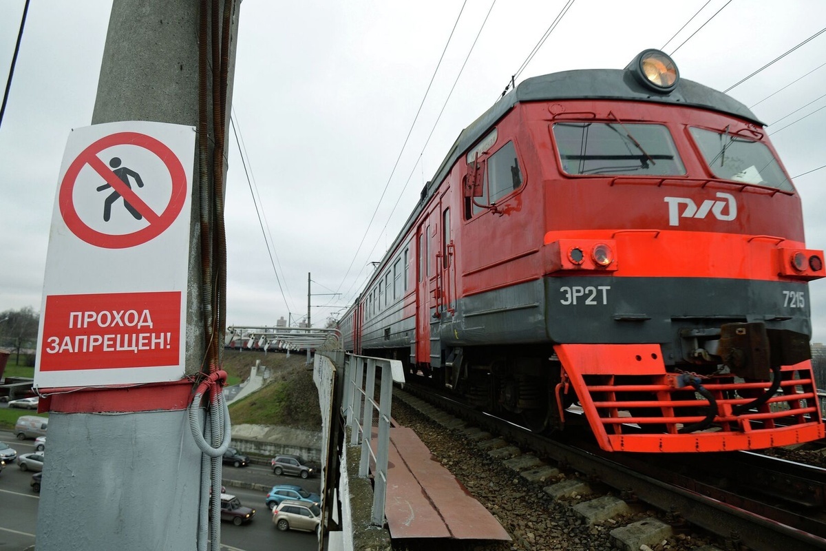    Фото: Алексей Филиппов, источник: ria.ru