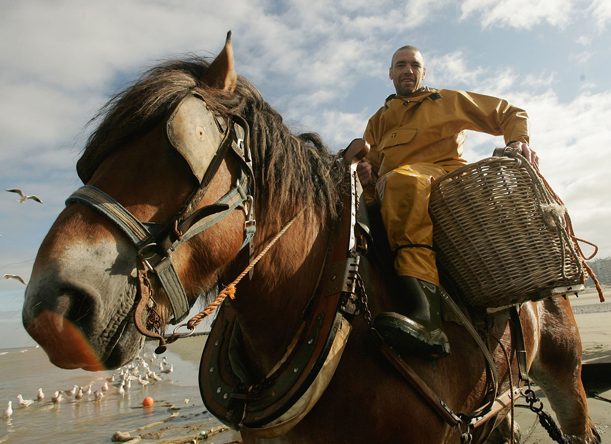 Mark Renders / Getty Images📷Международный мужской день — неофициальный праздник, который не отмечает на государственном уровне ни одна страна