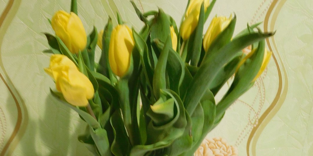 Мелодия старой гармони (часть 18)