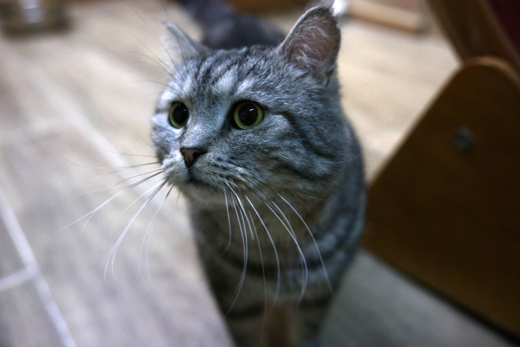    Фото © Анастасия Романова / Абзац