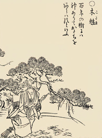 Торияма Сэкиэн. Духи Кодама