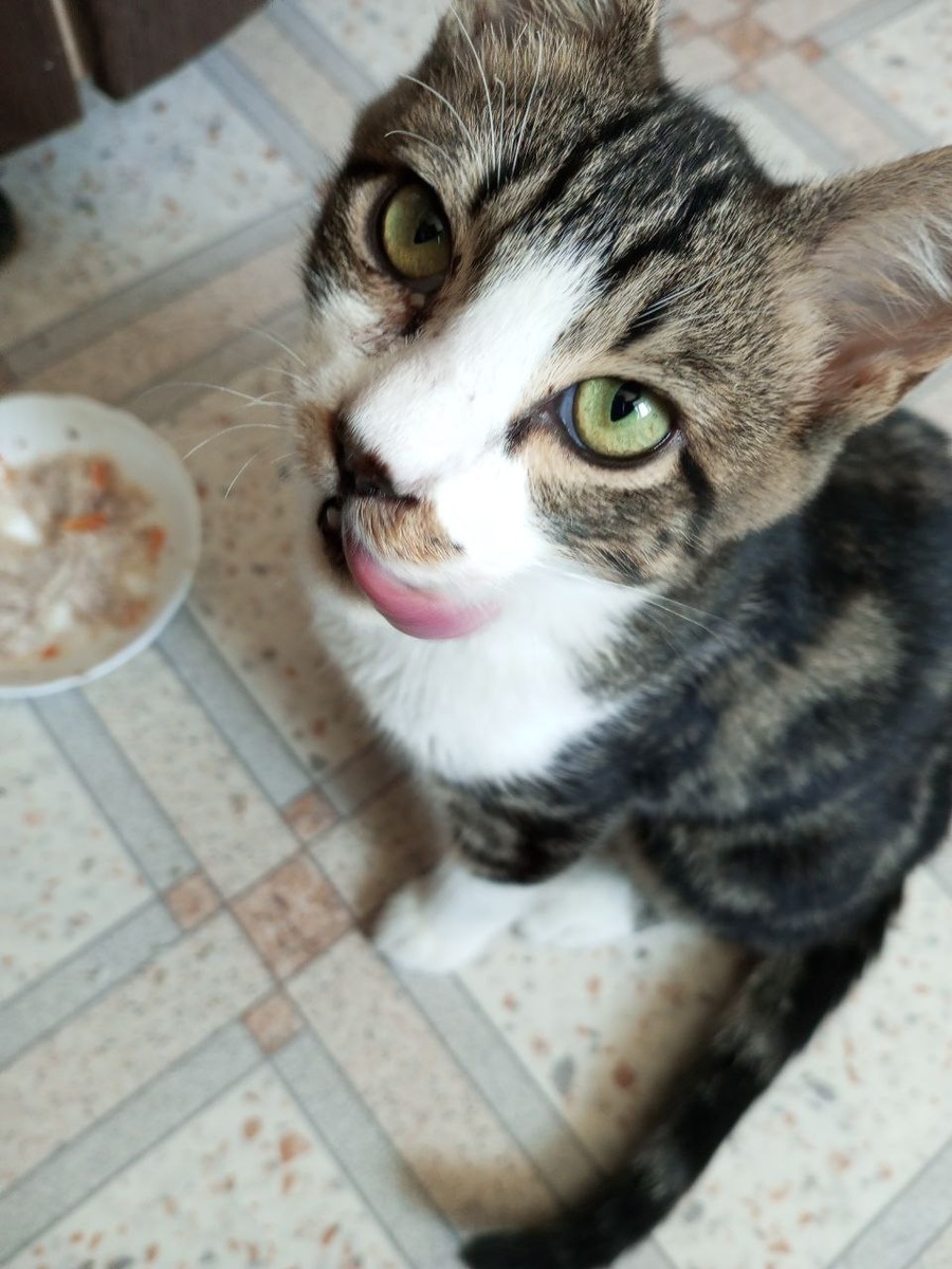 И как тут не откроешь, не насыпешь. не отломишь?