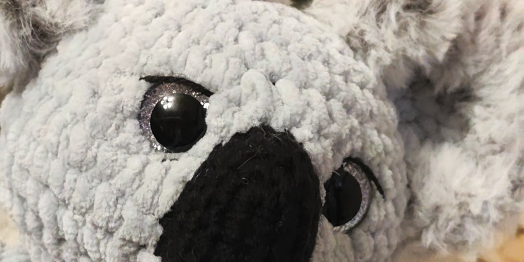 Феномен Лены, или Как коала обзавелась глазами на затылке