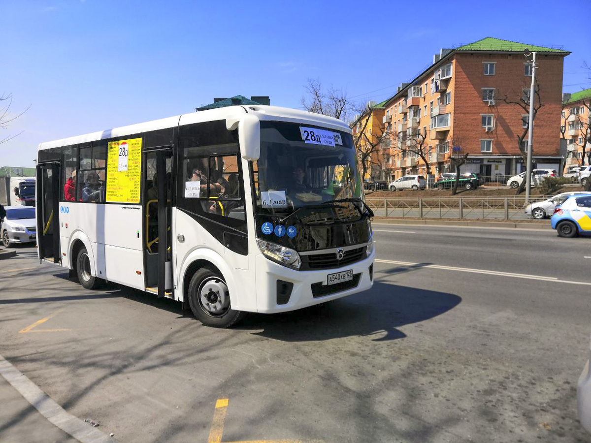 Для кандидатов без необходимой категории D доступно бесплатное обучение.  Фото: Фото: ФедералПресс / Анна Миронова