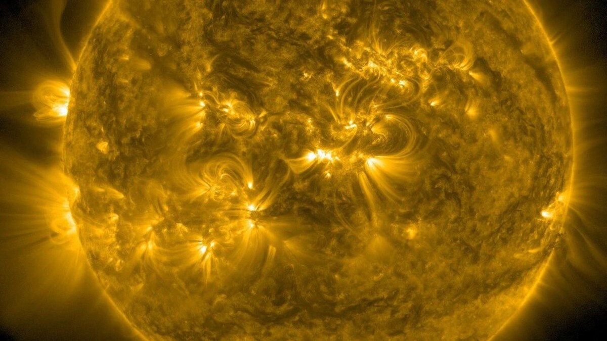    Фото: t.me/lpixras/1767