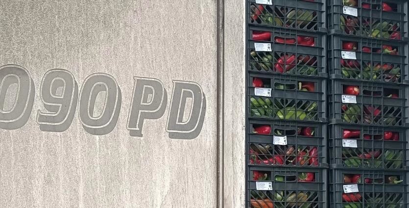 Фото: Уральское межрегиональное управление Россельхознадзора