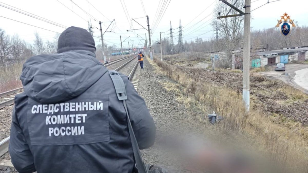    Мужчина переходил через ж/д пути в неположенном месте прямо перед поездом