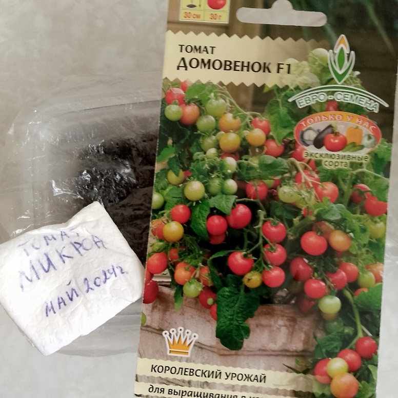 Вот такие томаты растут на подоконнике