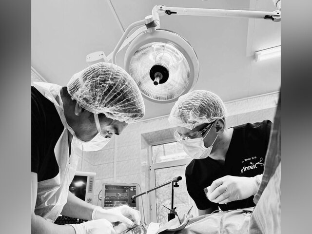    Фото: министерство здравоохранения Московской области