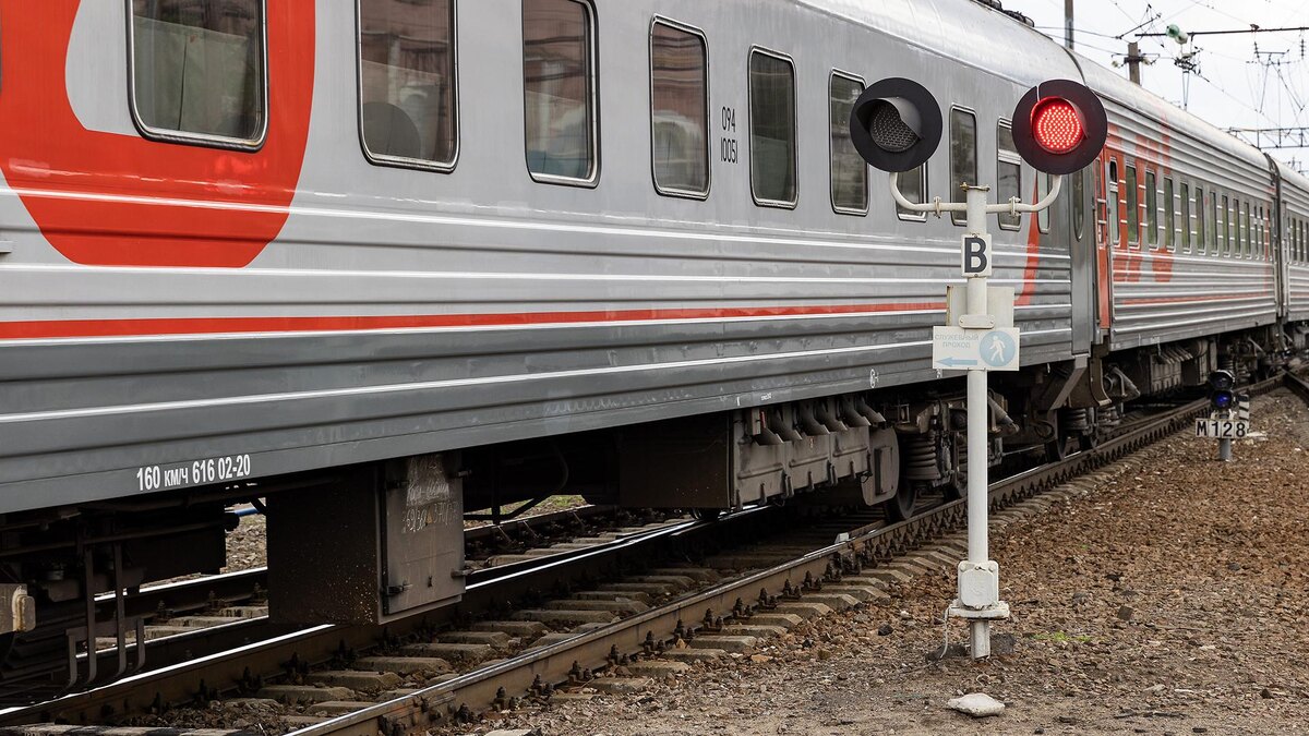    Фото: Aleksey Smyshlyaev/globallookpress.com