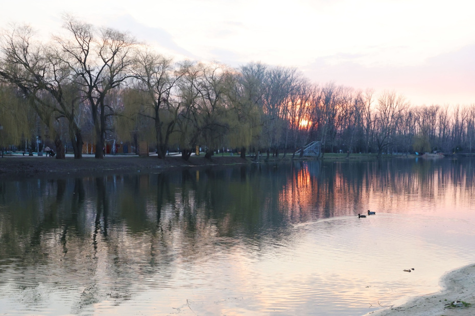    Алексей Белкин/NEWS.ru