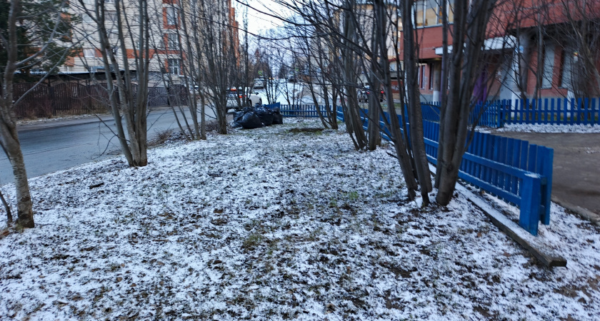    «Начнется 12 ноября и будет 10 дней подряд». Синоптики сказали, что это будет