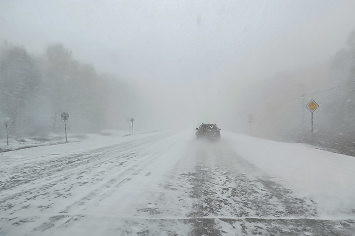    Фото: Андрея Заржецкого, источник: nnov54.ru