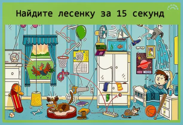 СПРИНТ НА ВНИМАТЕЛЬНОСТЬ: найди лесенку за 15 секунд!
