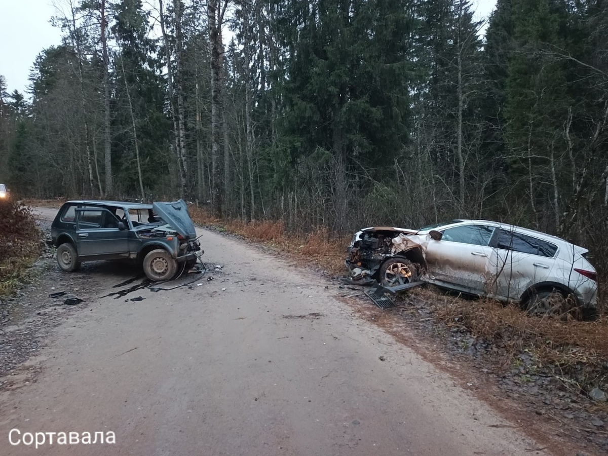    Фото: ГАИ Карелии