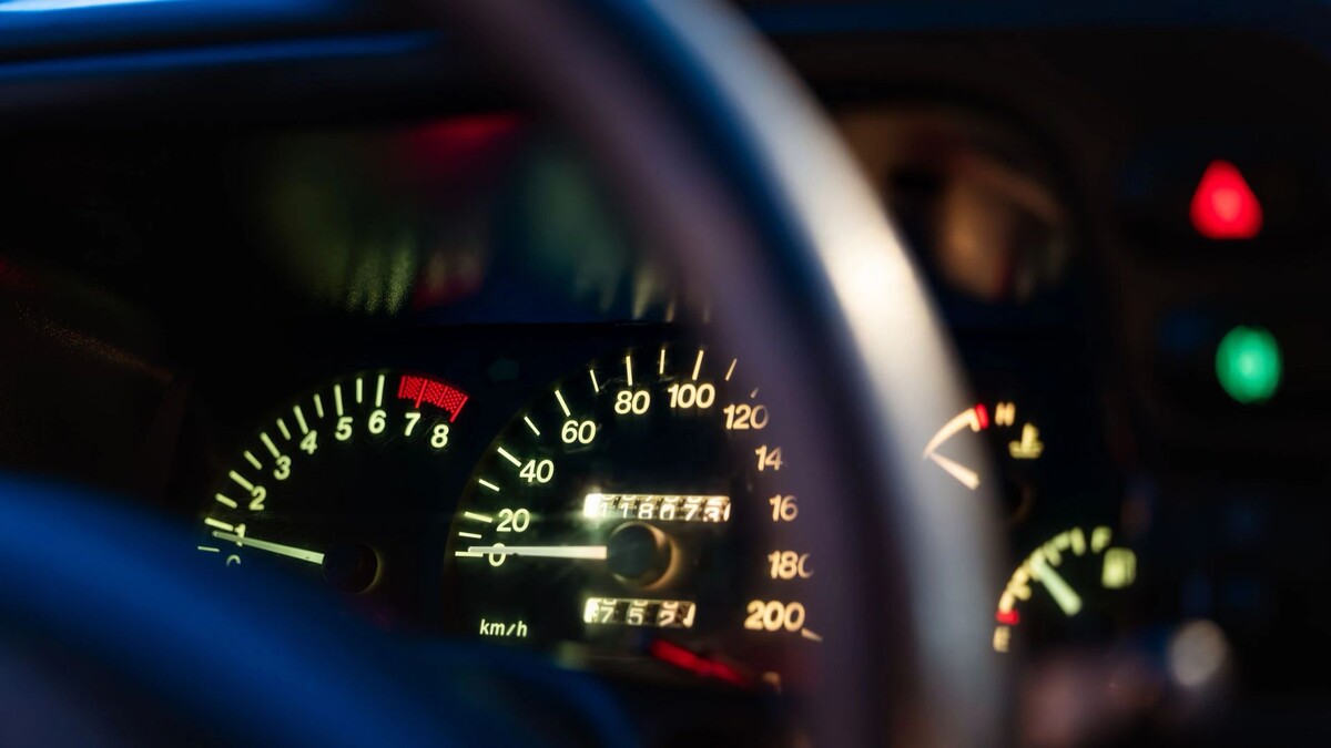    Фото: Юлия Чудинова / «Ямал-Медиа»