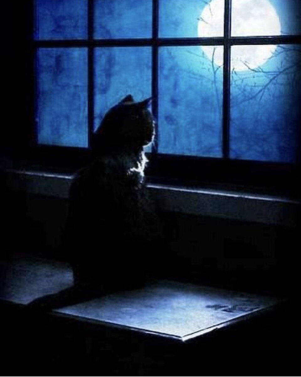 иллюстрация из яндекс картинки.