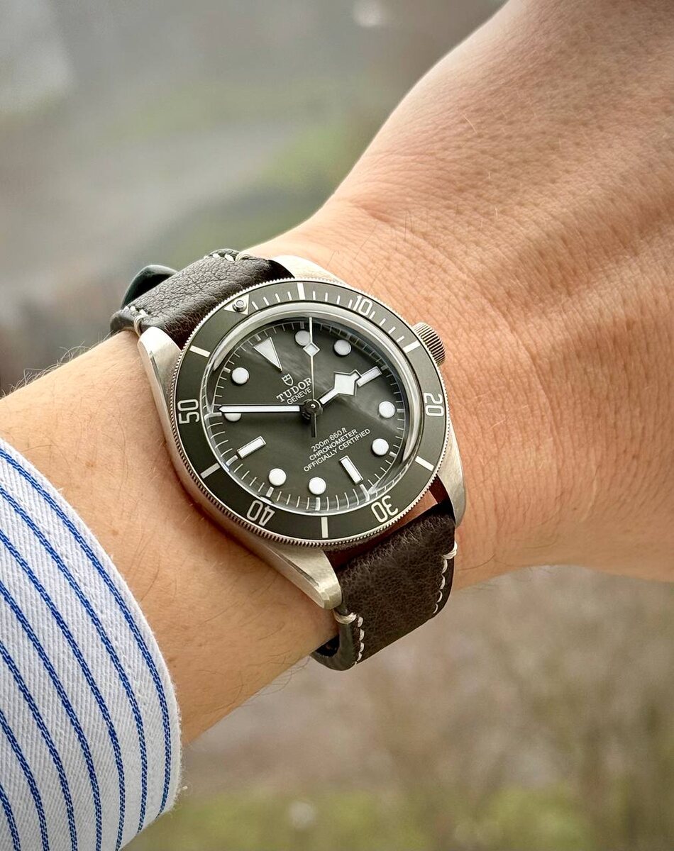 Tudor Black Bay 58 в серебре