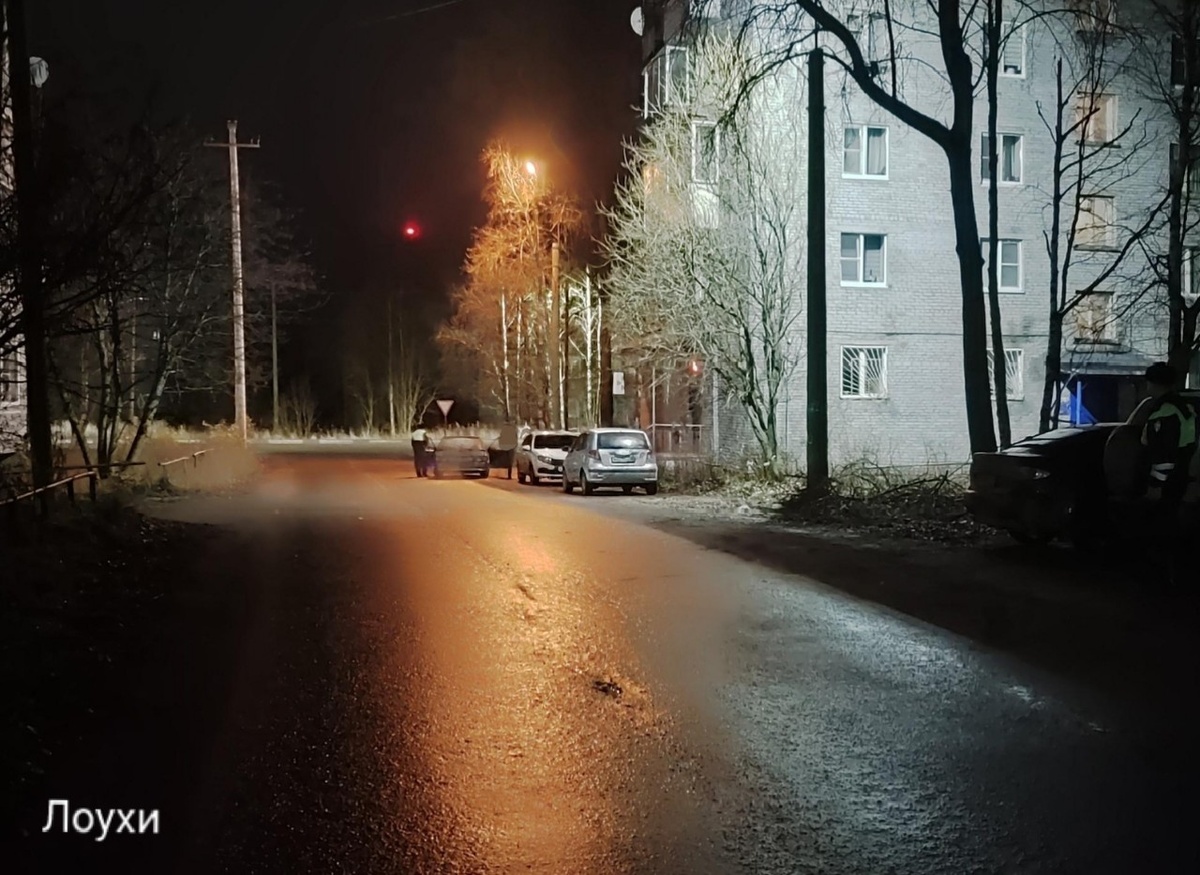    Фото: ГАИ Карелии