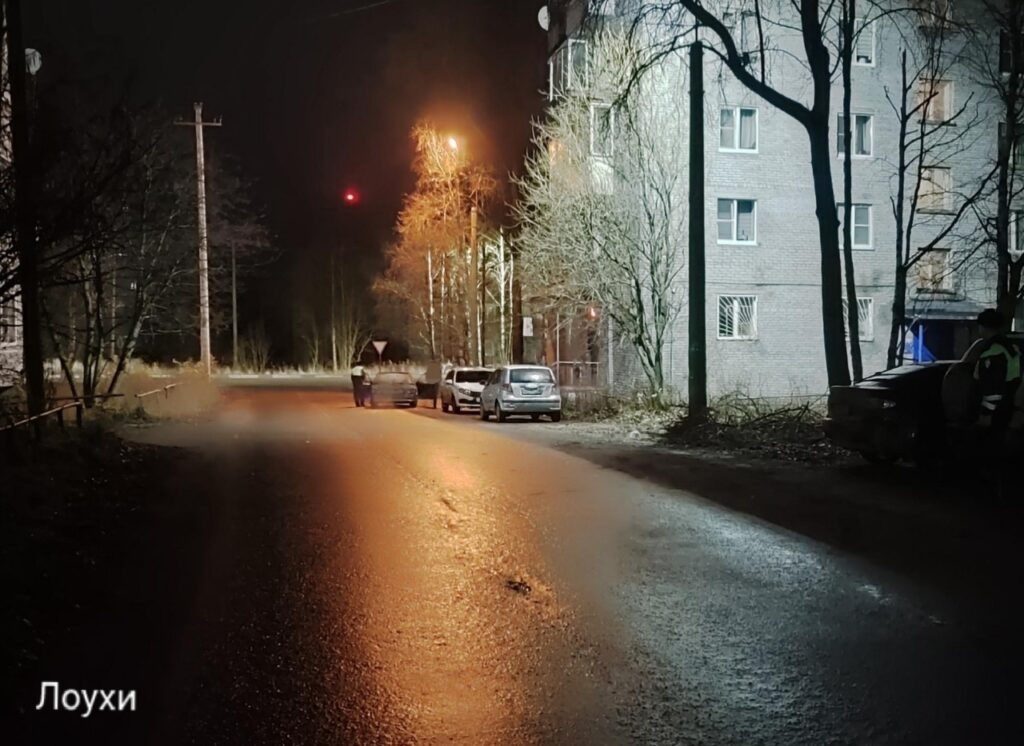    Фото: ГАИ Карелии