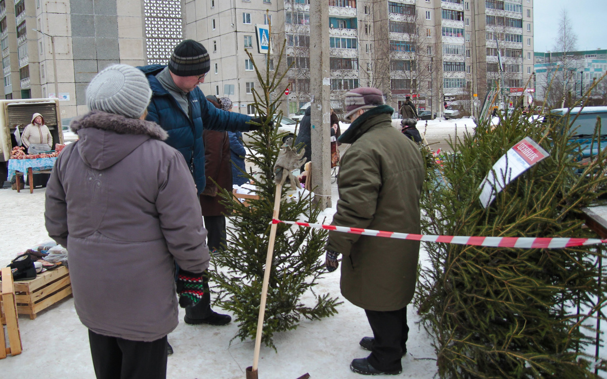    фото: © Столица на Онего