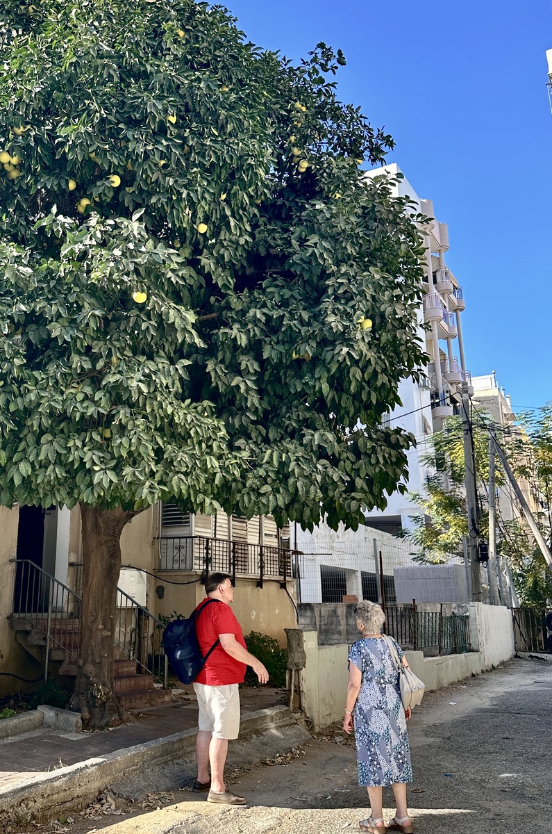 МВБ и мама на прогулке