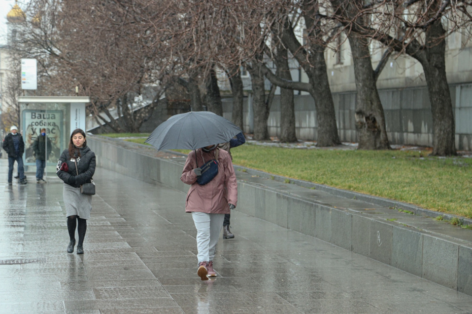    Сергей Булкин/NEWS.ru