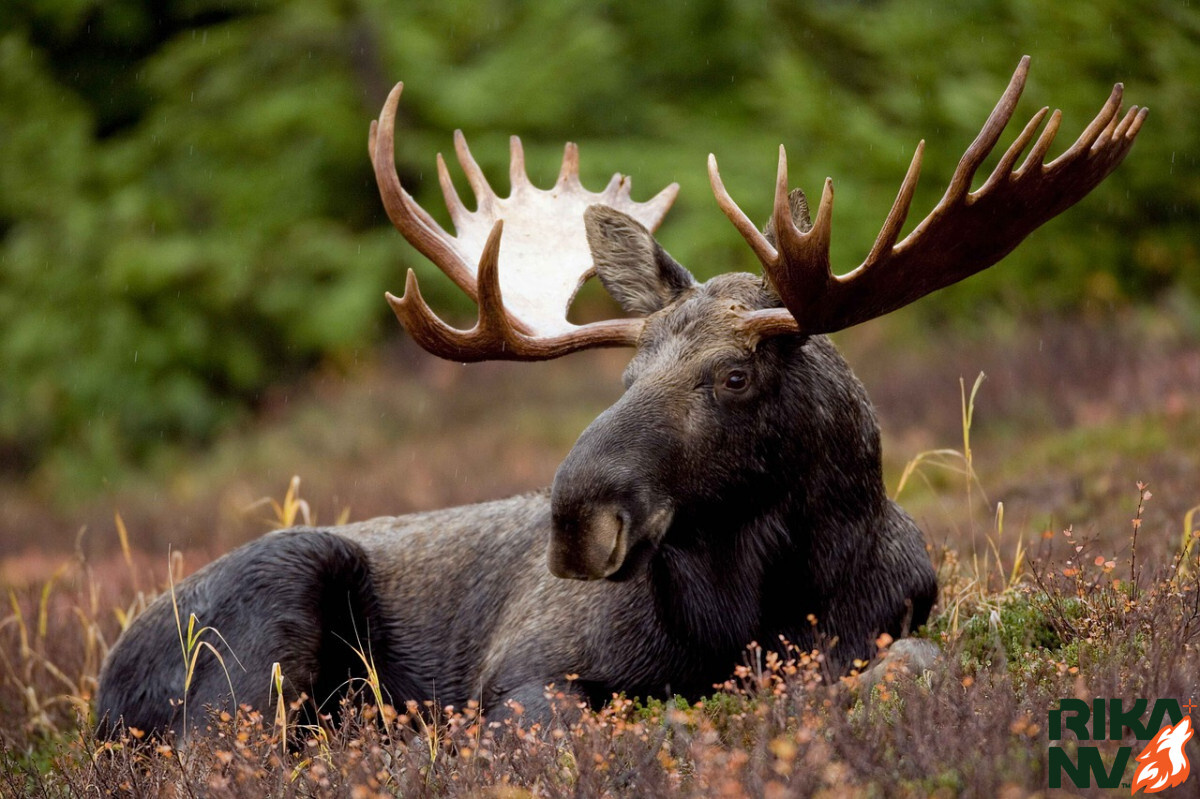 Красив и величественен