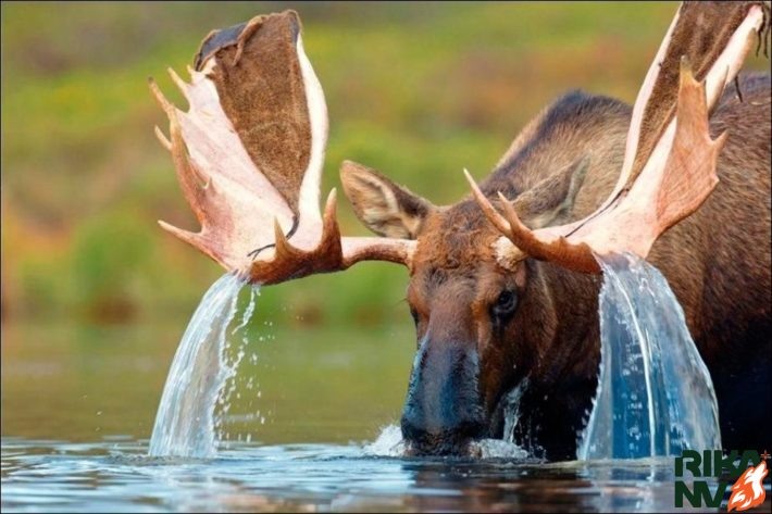 Обращайте внимание на форму