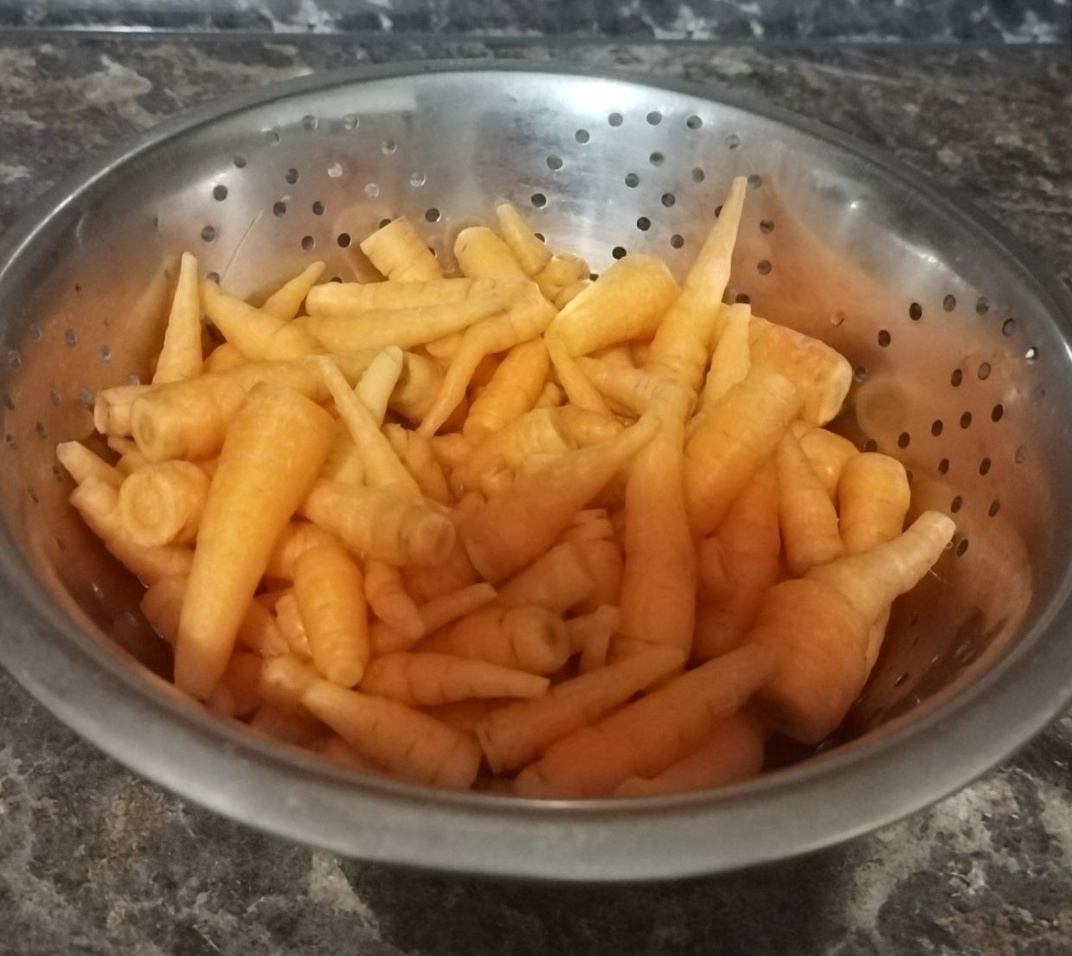 Разная мелочь тоже подойдёт в качестве стимула. Это мой первый урожай, когда мы только купили дачу😁😁😁