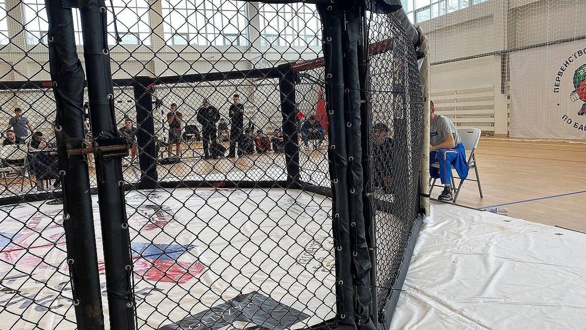    Фото: телеканал «Краснодар»