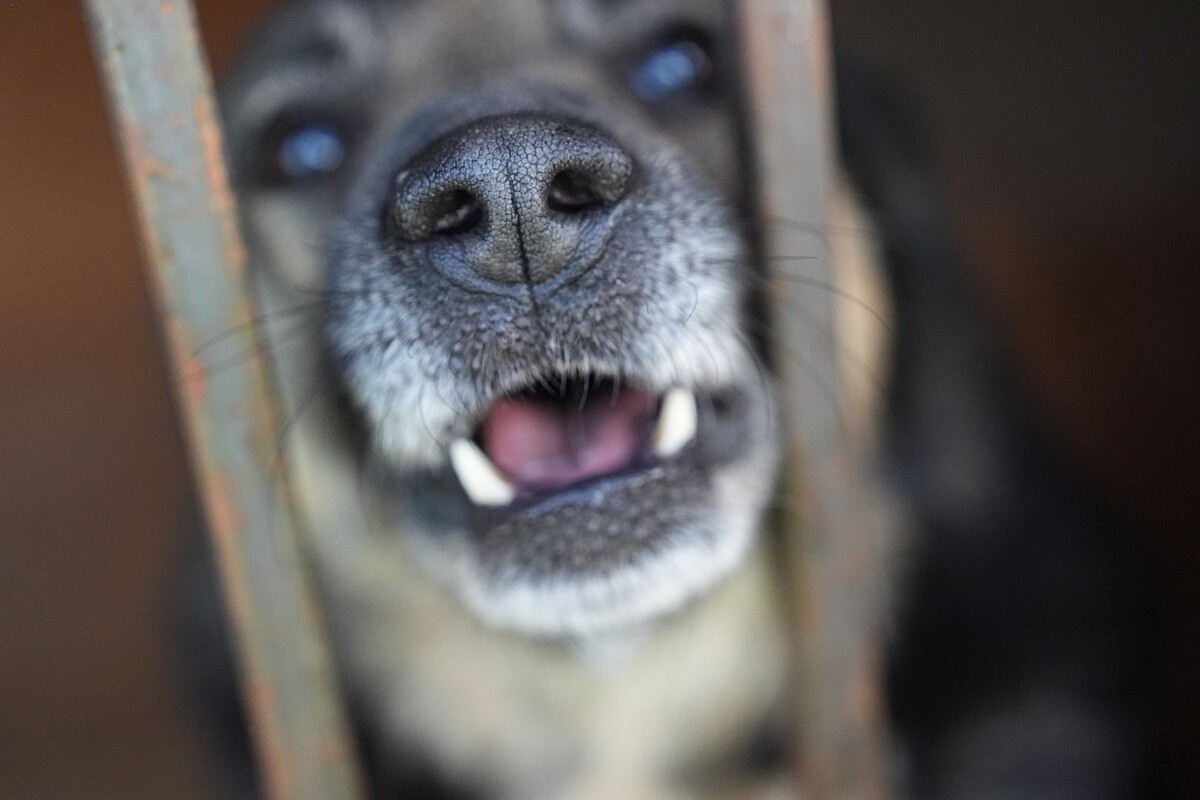     / Источник: © ИЗВЕСТИЯ/Павел Волков