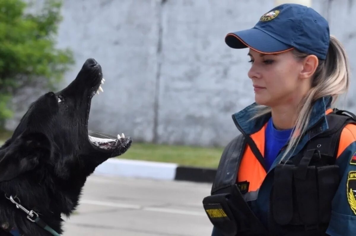    Бешенство животных выявлено уже в 11 муниципалитетах Нижегородской области