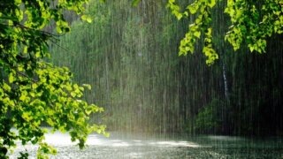    ru.pinterest.com Юлия Виноградова