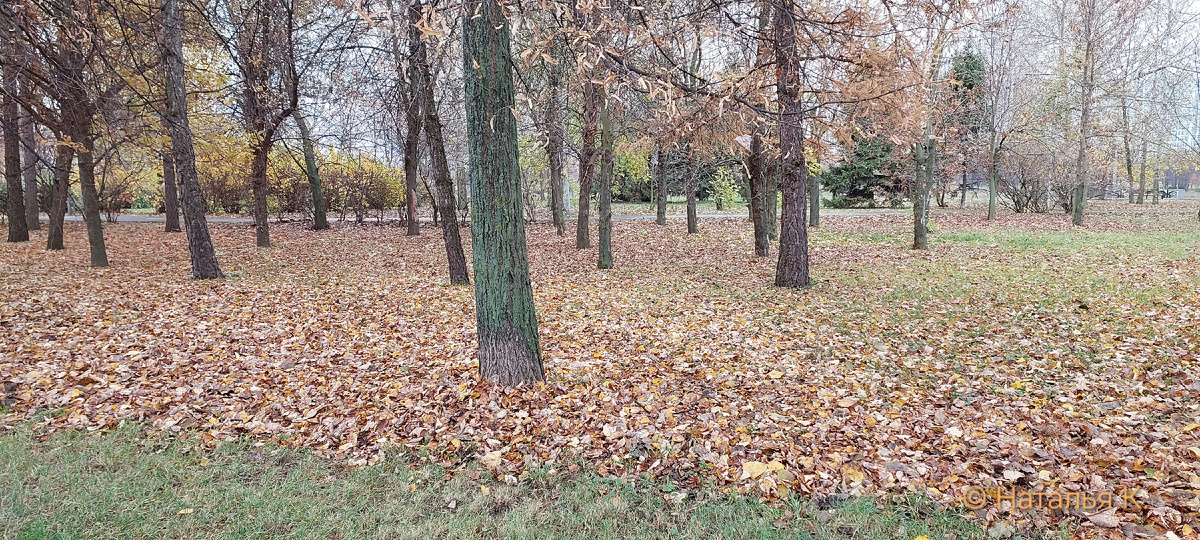 Фото автора канала