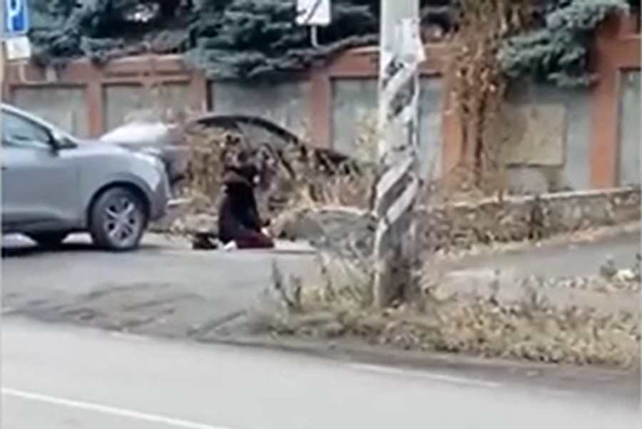 Скриншот видео