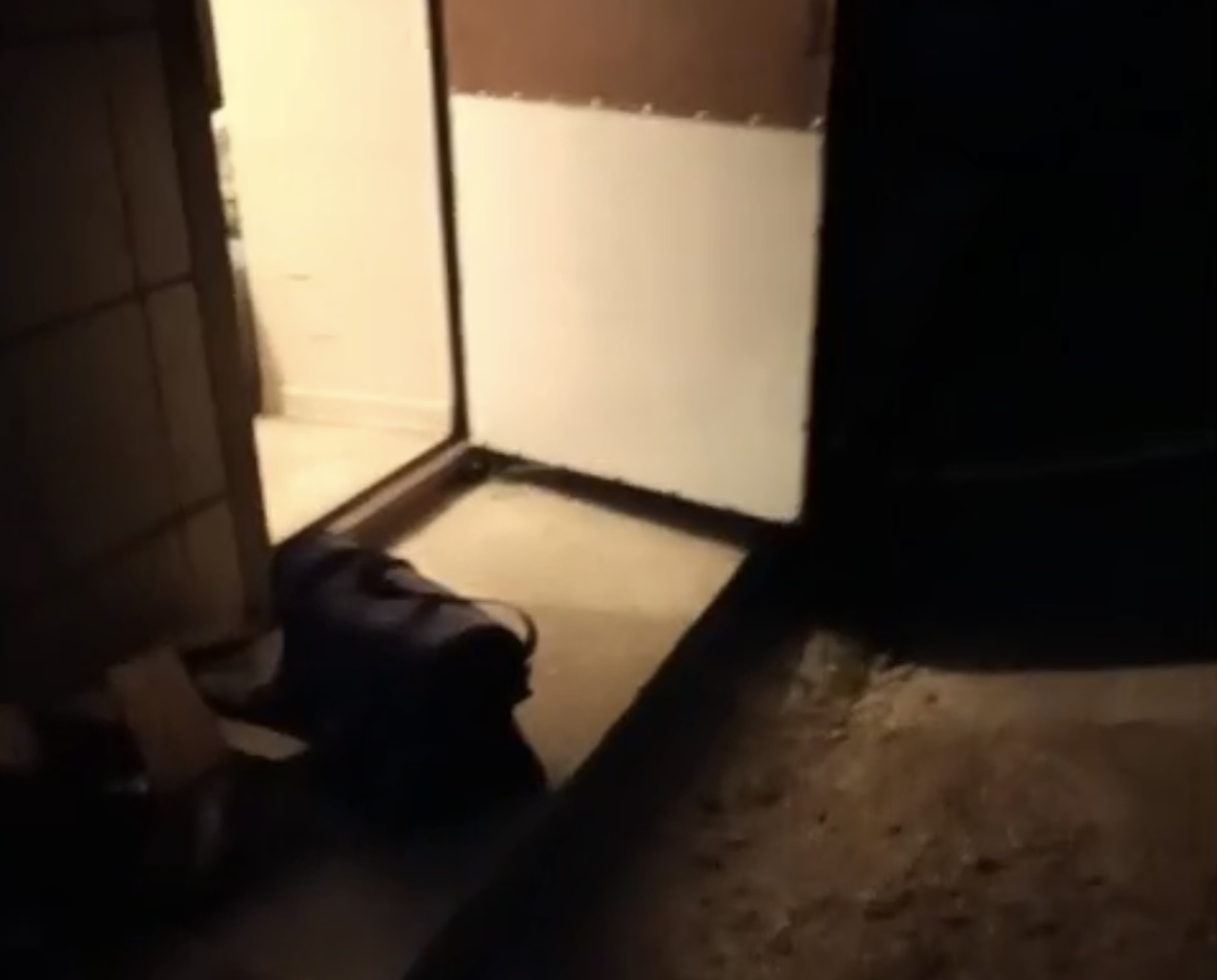 Вот так и начинай день пораньше... Фото из архива автора