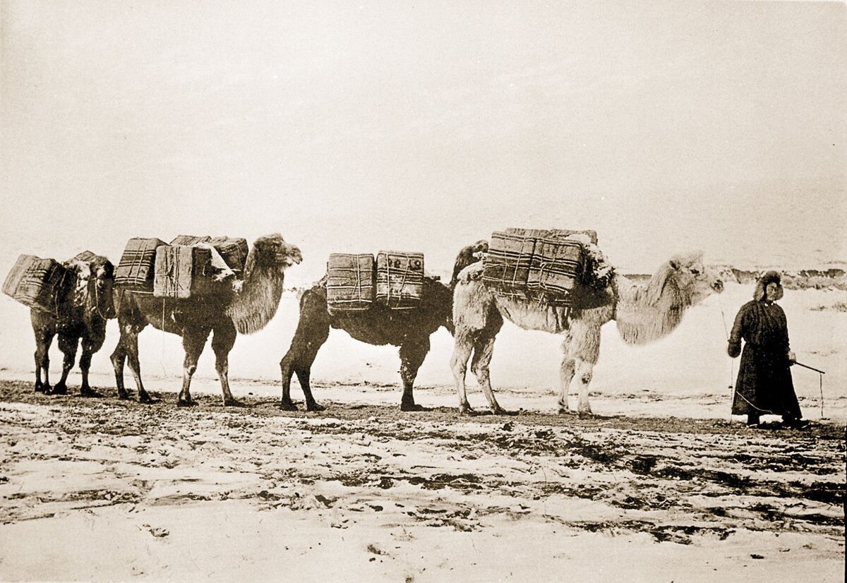 Караван с чаем. Изображение с открытых интернет-источников.