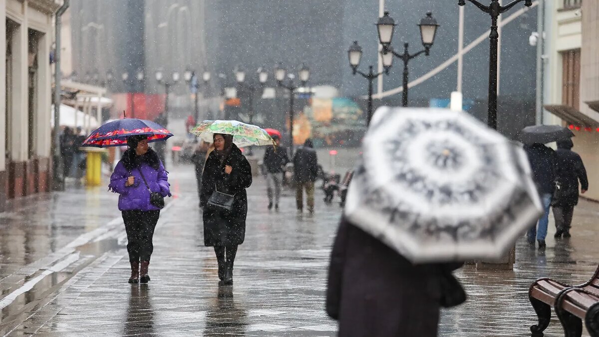   Артур Новосильцев / Агентство «Москва»