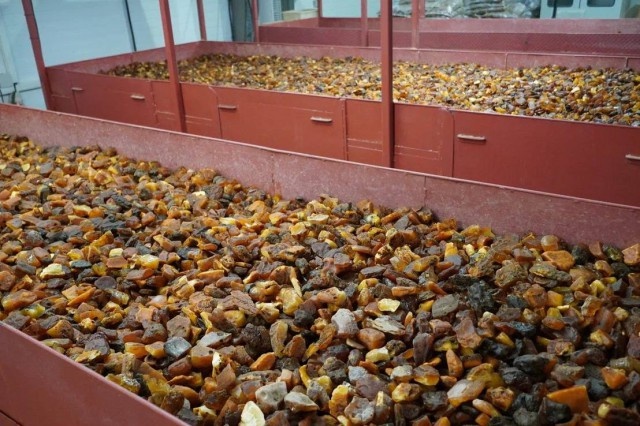   Фото: пресс-служба Янтарного комбината