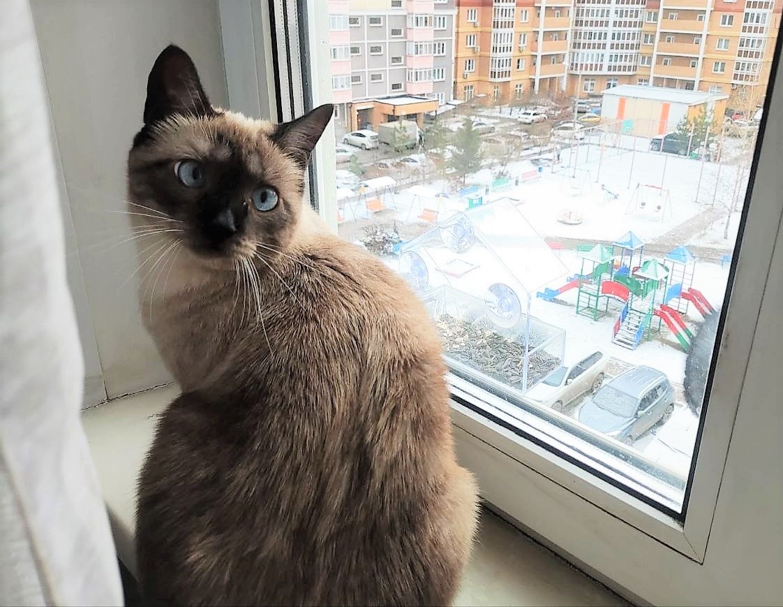 Благодарю за фото Жоржа Ксюшу БЕКИРОВУ)