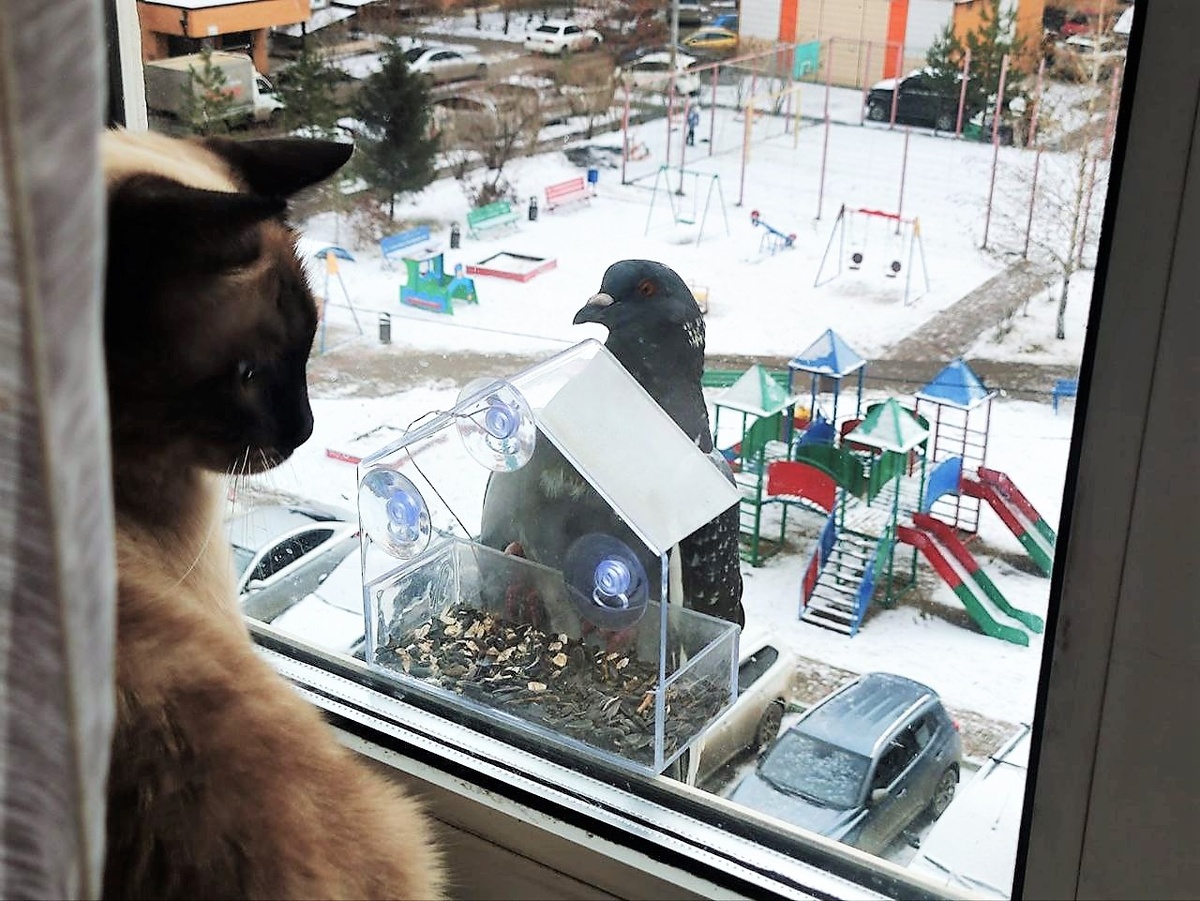 Благодарю за фото Ксюшу БЕКИРОВУ)