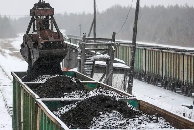    Фото: lenta.ru Оливия Ильинская