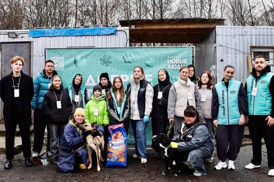    Фото: в Костроме «Новые люди» анонсировали программу помощи приютам для животных