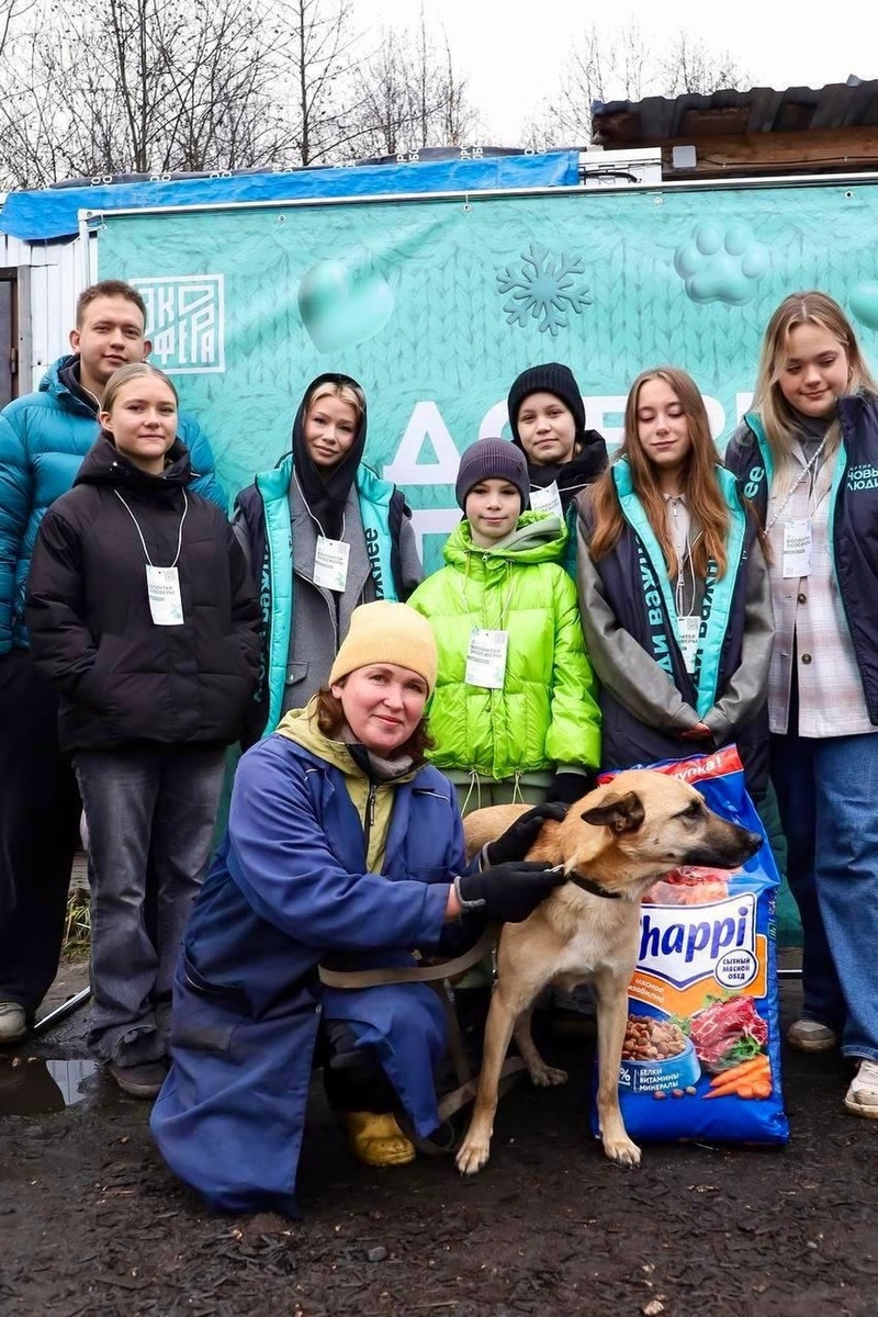    Фото: в Костроме «Новые люди» анонсировали программу помощи приютам для животных