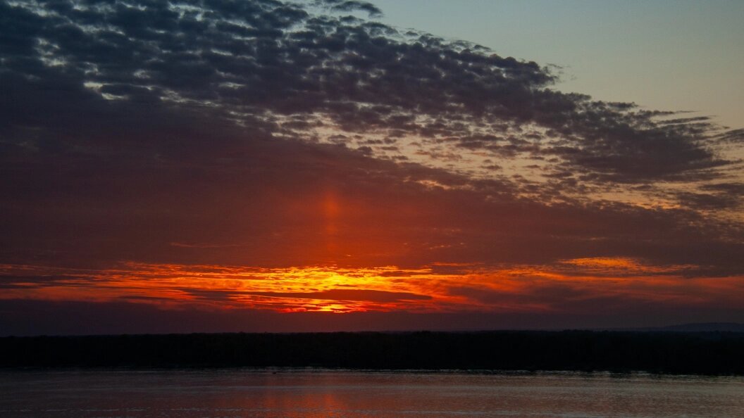    Фото: Svetlana Vozmilova/Global Look Press