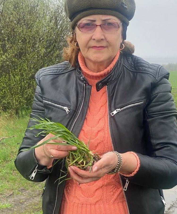 Фото: Служба по связям с общественностью филиала «Донецкий» Российского сельскохозяйственного центра.📷    Оптимизм зерновых фермеров ЛНР пришел с осенними дождями
