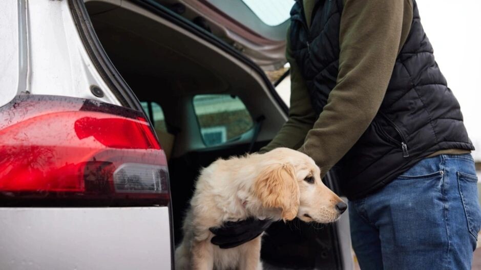    Фото: Daisy Daisy/Shutterstock/Fotodom